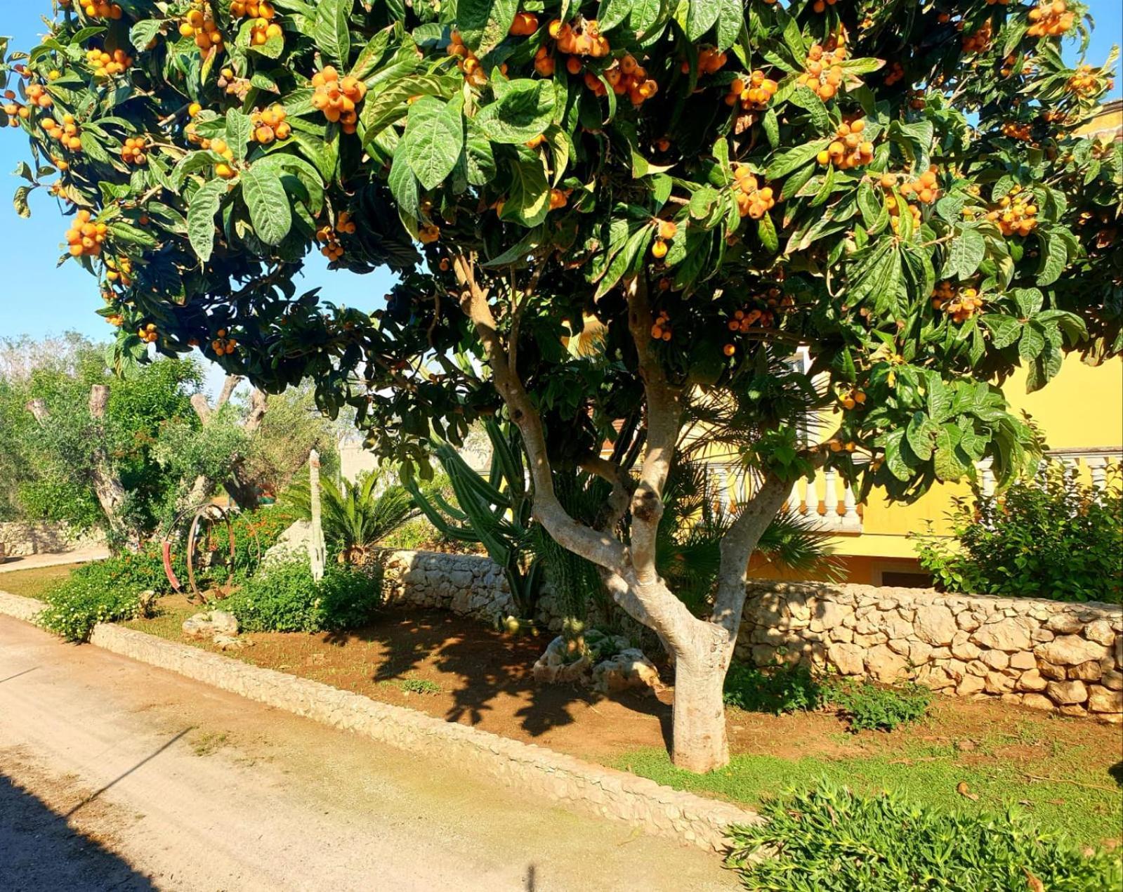 Villa Sargheruoli Monteroni di Lecce Exterior foto